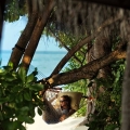 Four Seasons Resort at Landaa Giraavaru Ｊ³