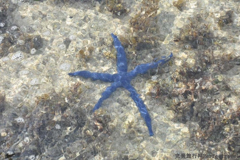 DSC_9485.JPG