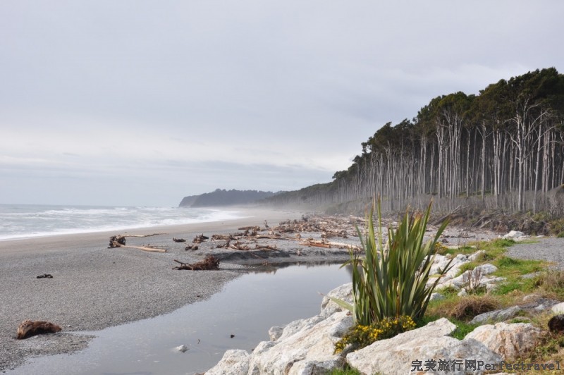 DSC_0755_01.JPG