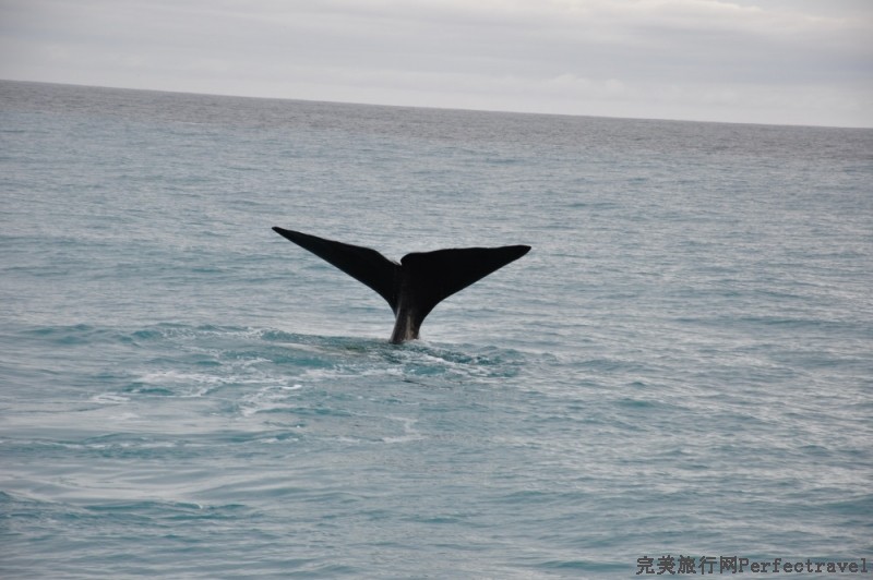 DSC_2298_01.JPG