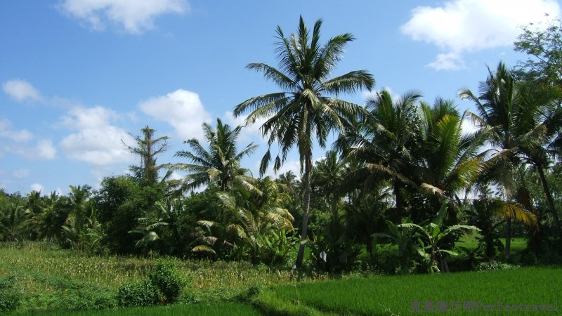 DSCF5957.JPG