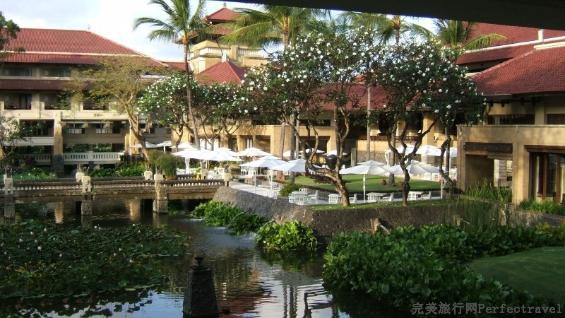 DSCF6781.JPG