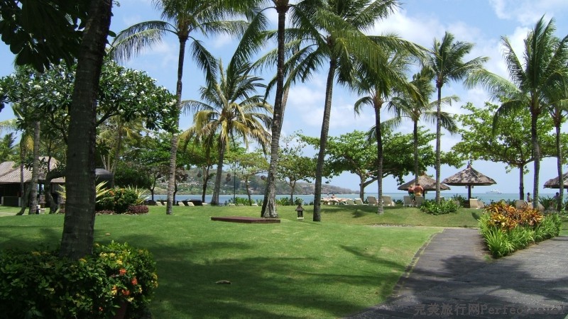 DSCF6707.JPG