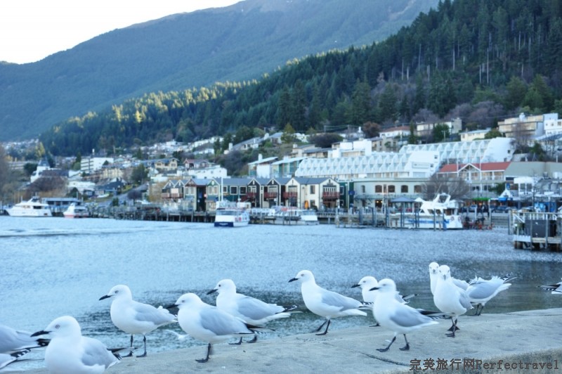 DSC_1292_01.JPG