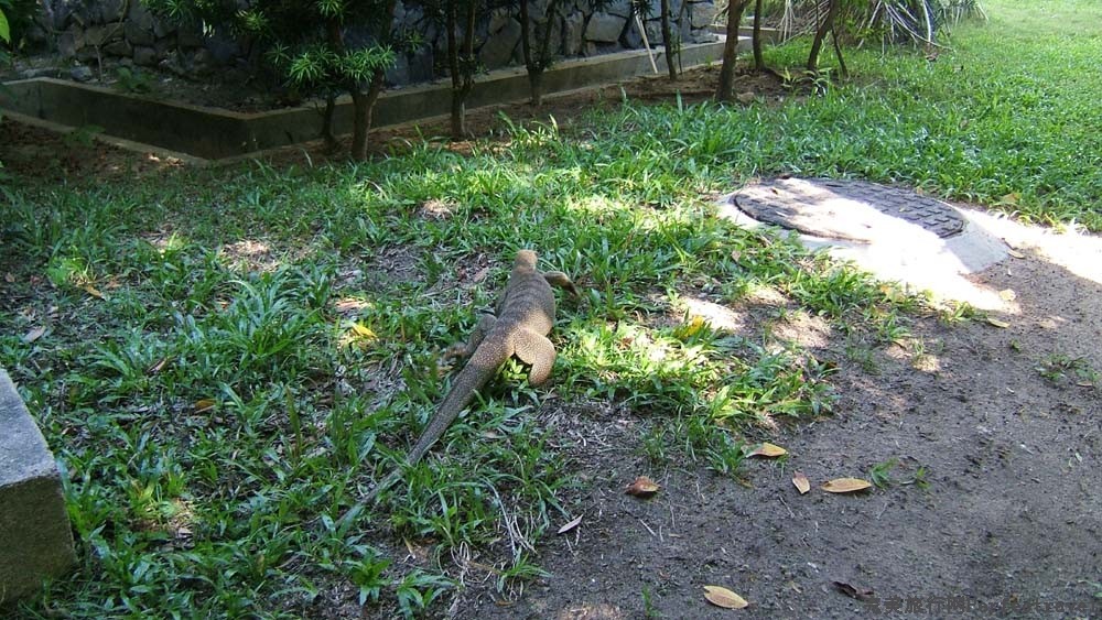 27.jpg