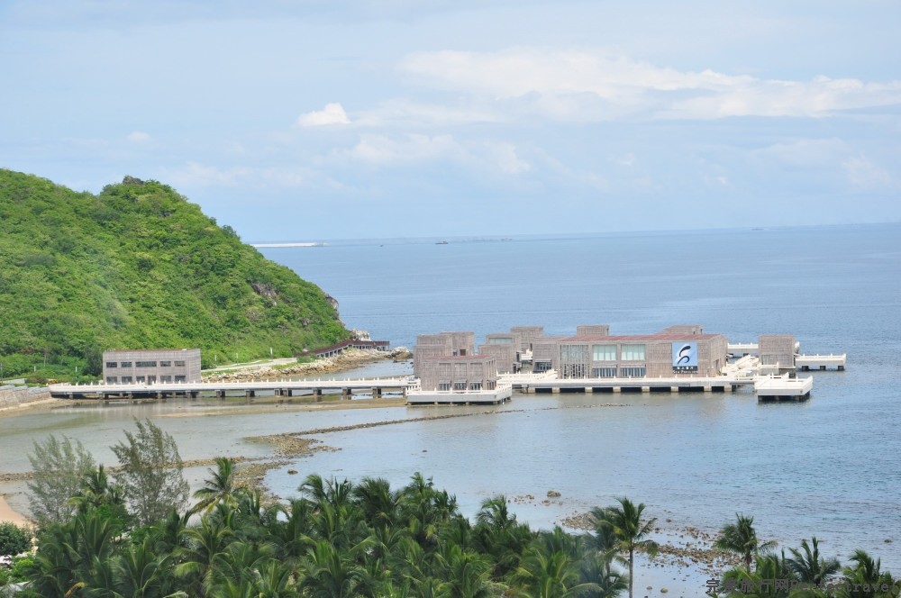 DSC_7665_01.JPG
