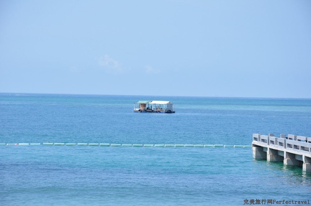 DSC_7842_01.JPG