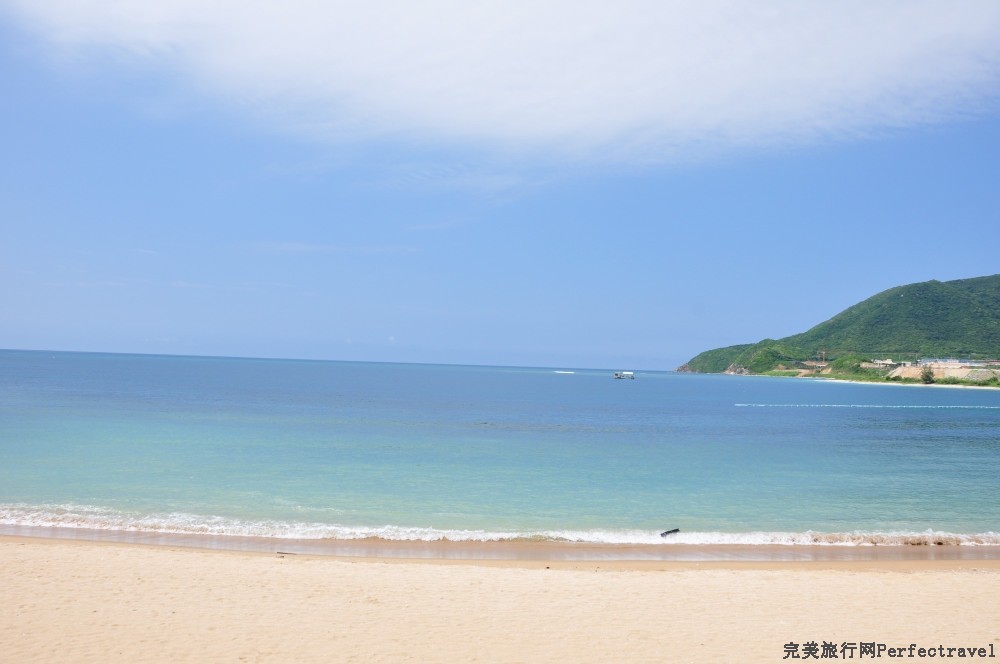 DSC_7859_01.JPG