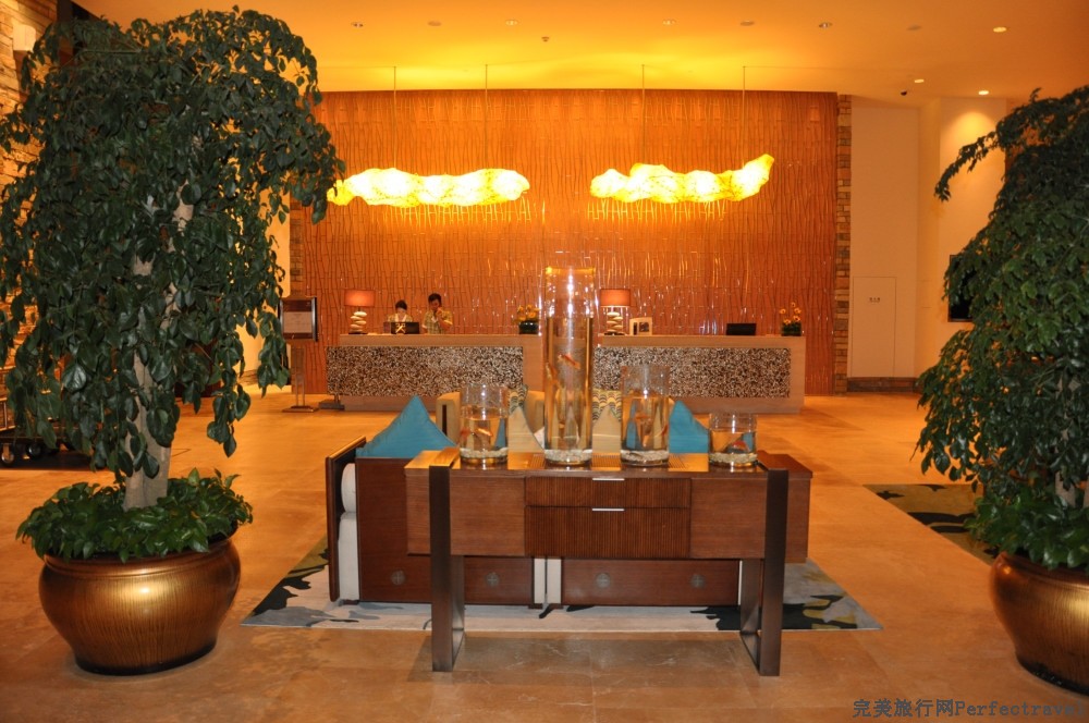 DSC_8020_01.JPG