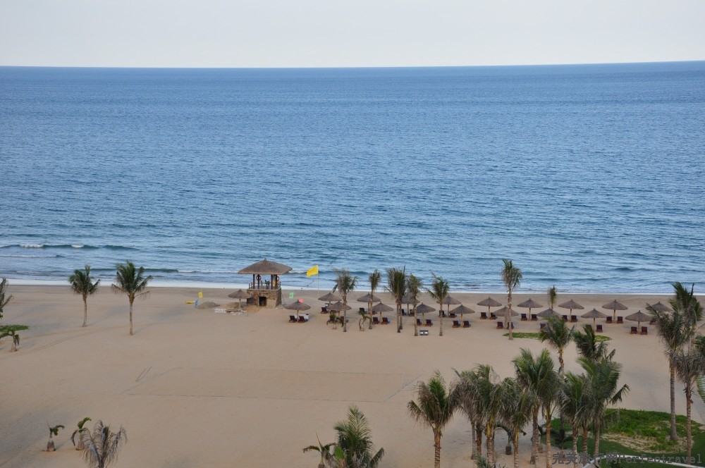 DSC_7982_01.JPG