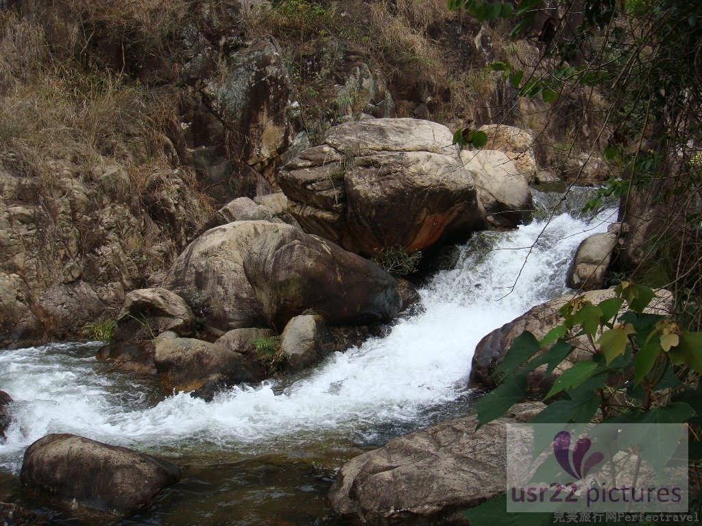 BigBull_DSC04074.JPG