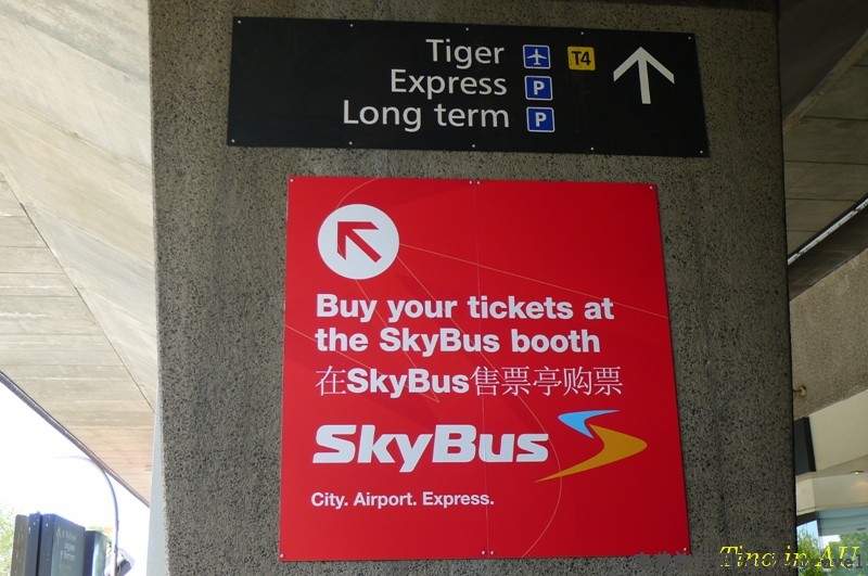 sky bus.JPG