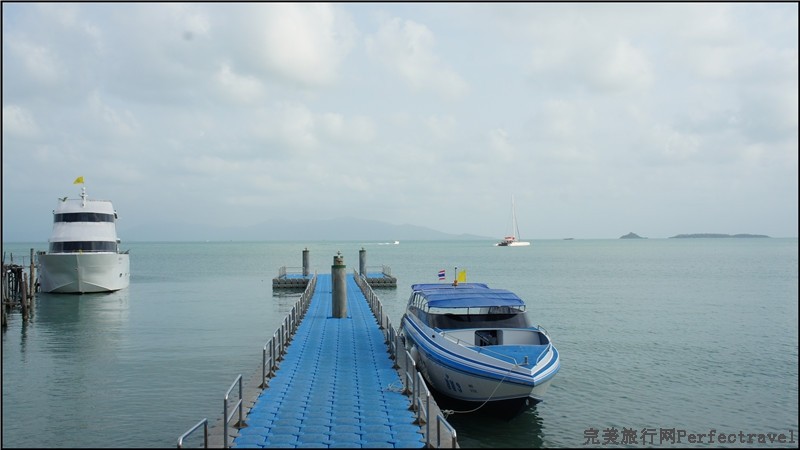sea safari1.jpg