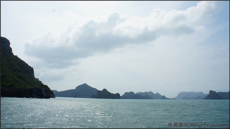 sea safari4.jpg
