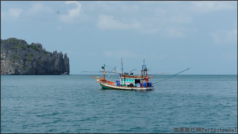 sea safari5.jpg