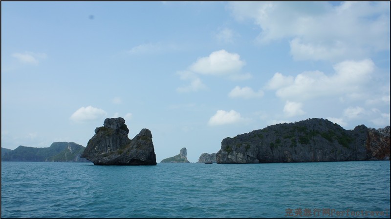 sea safari6.jpg
