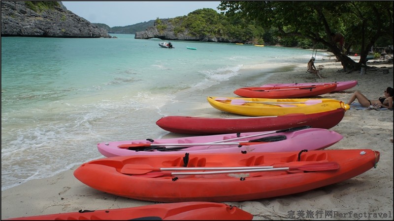 sea safari7.jpg