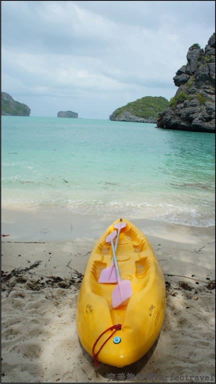 sea safari8.jpg