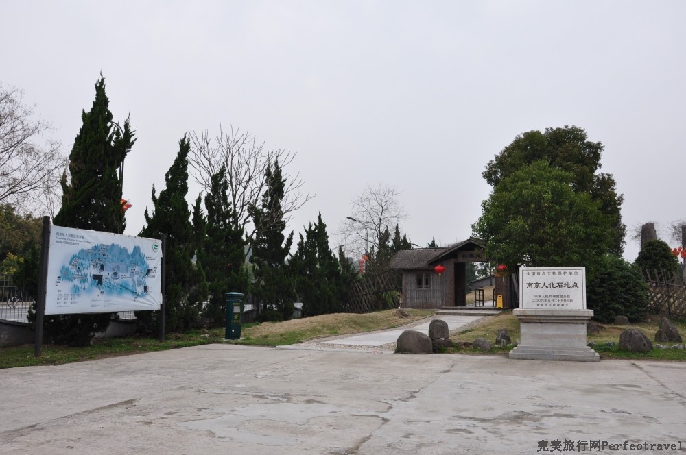 DSC_8810_01.JPG