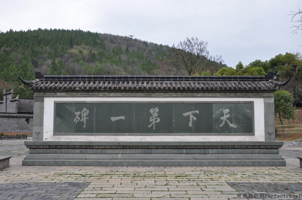 DSC_8864_01.JPG