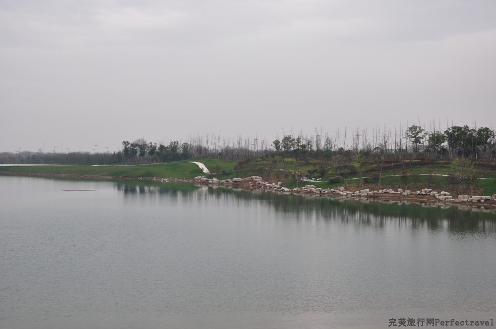 DSC_8913_01.JPG