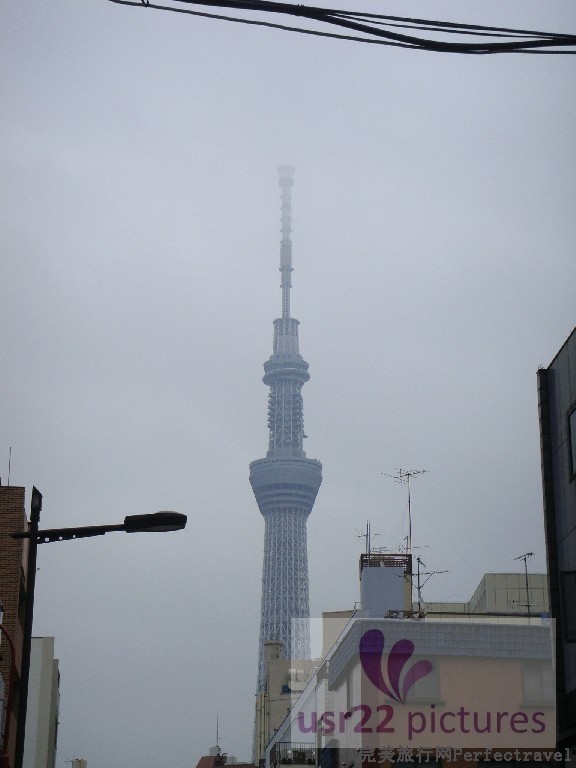 BigBull_DSC03868.JPG