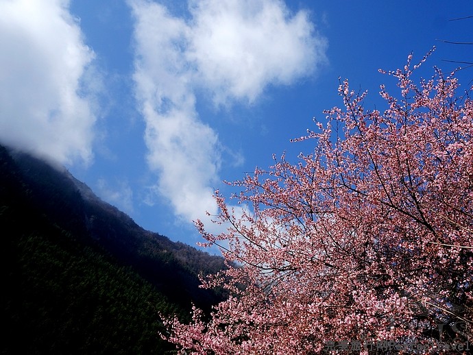DSC03517.jpg