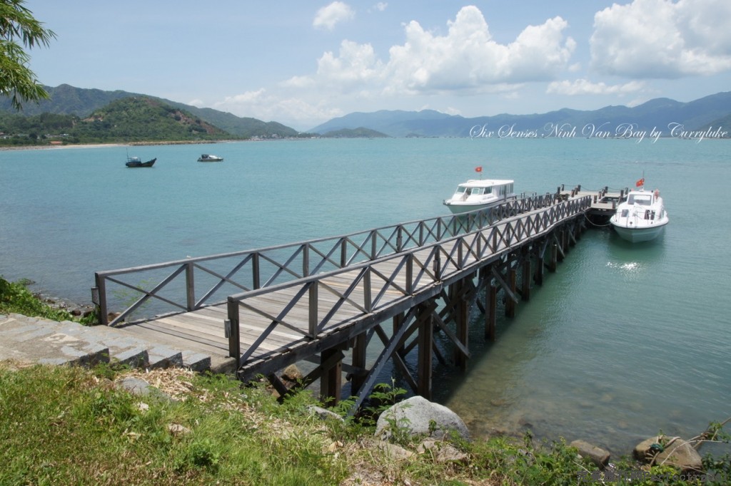 DSC04117.jpg
