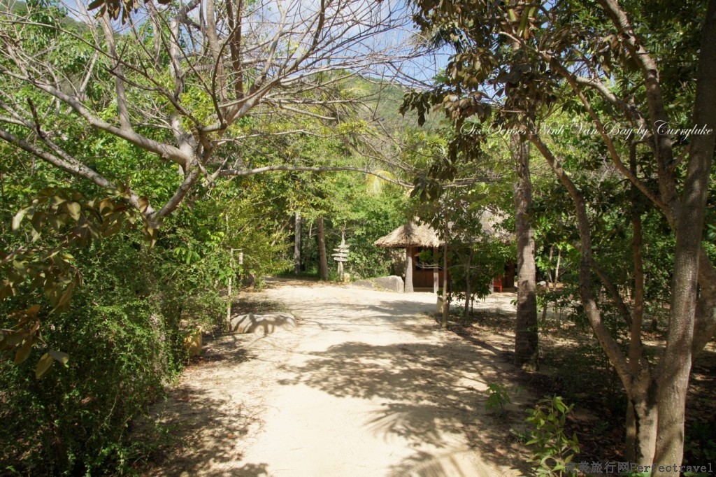 DSC04204.jpg