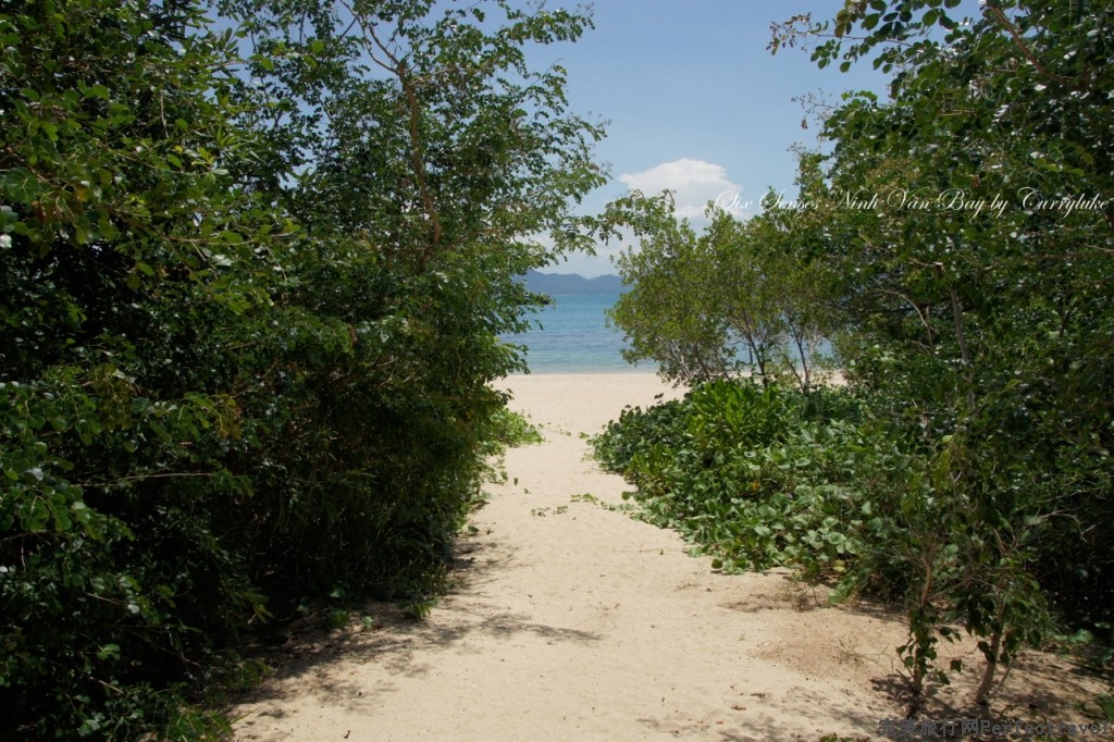 DSC04154.jpg