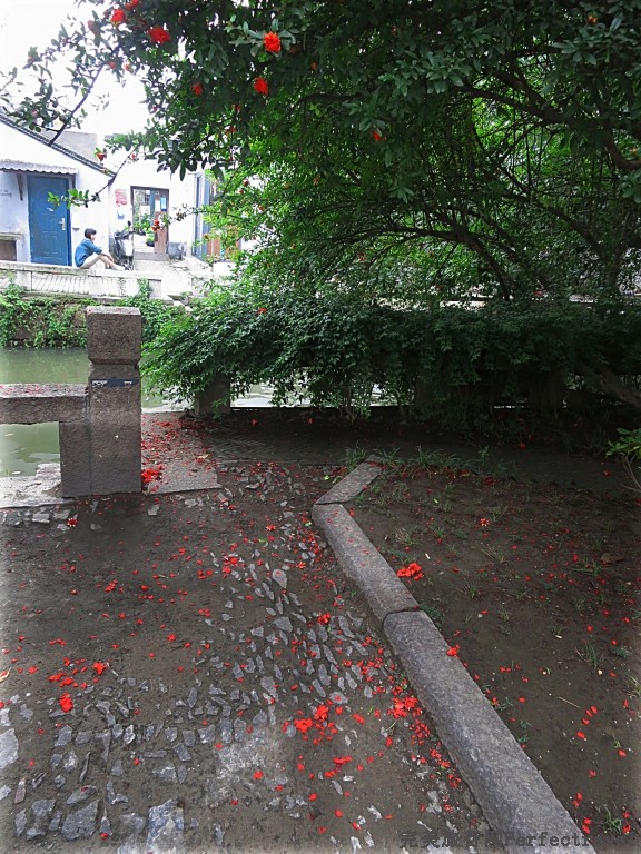 570.jpg