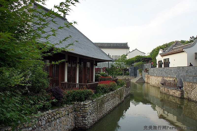 DSC08960_.jpg