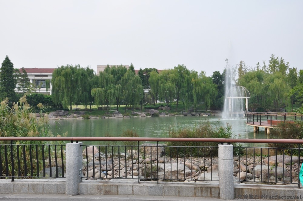 DSC_4478_01.JPG