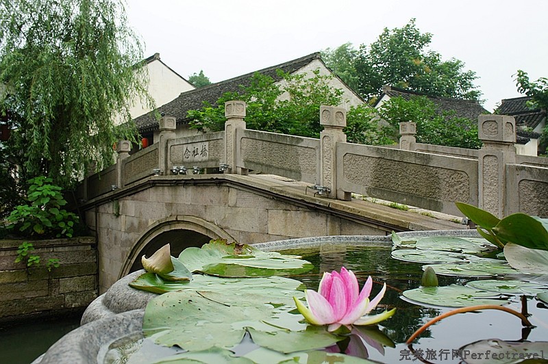 DSC00009_.jpg