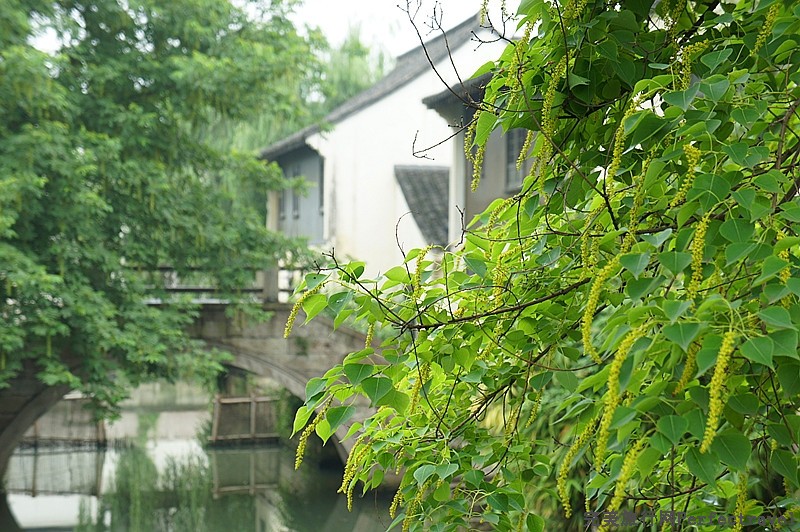 DSC09995_.jpg