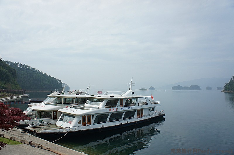 DSC09003_.jpg