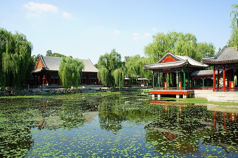 DSC08300_.jpg