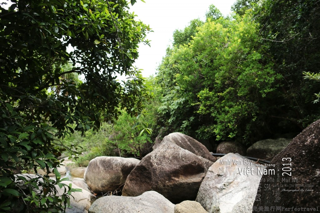5S7C5243.jpg