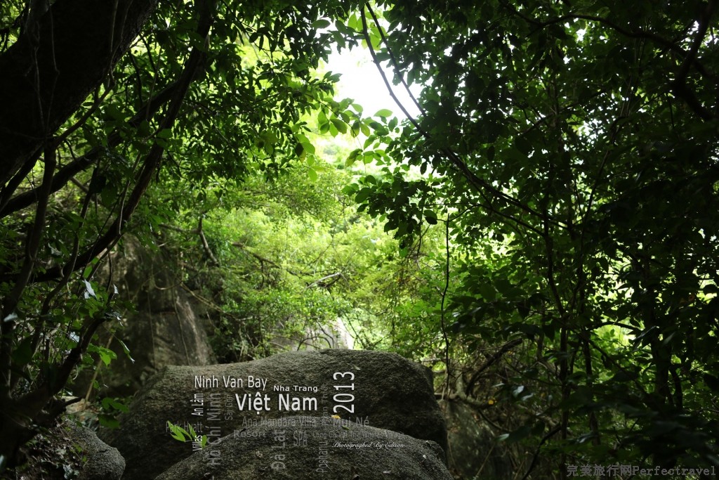 5S7C5266.jpg
