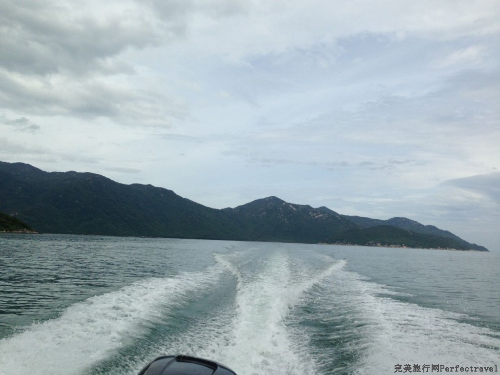 IMG_2545.jpg