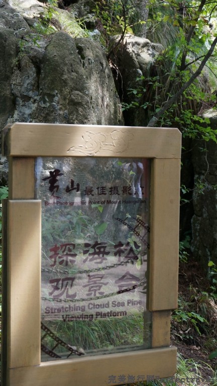 С DSC00737.JPG