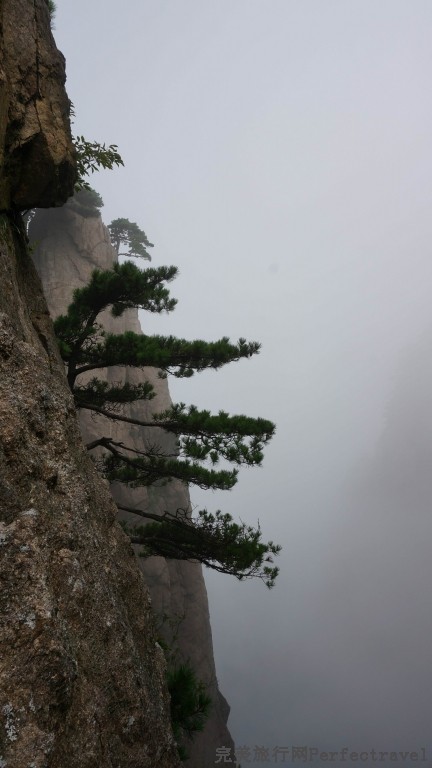 С DSC00754.JPG