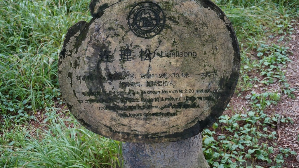 С DSC00807.JPG