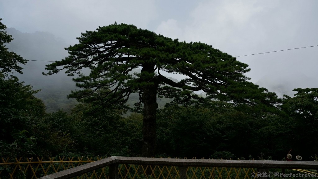 С DSC00808.JPG