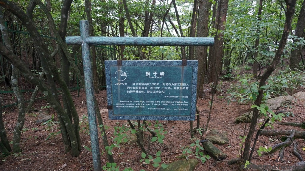 С DSC00877.JPG