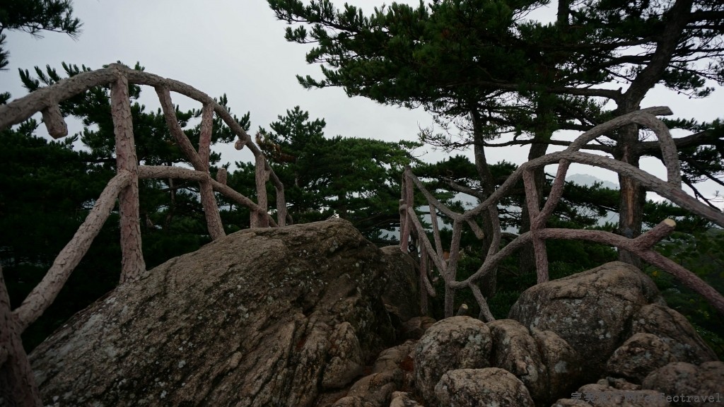 С DSC00901.JPG