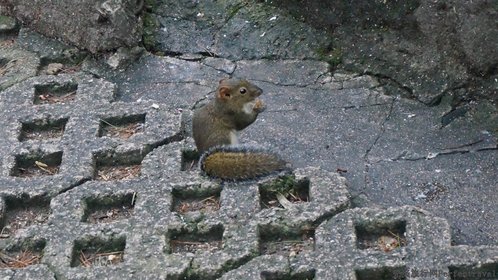 С DSC01233.JPG