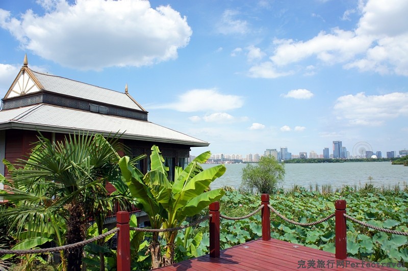 DSC01142_.jpg