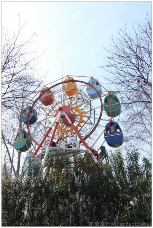 227_conew1.jpg