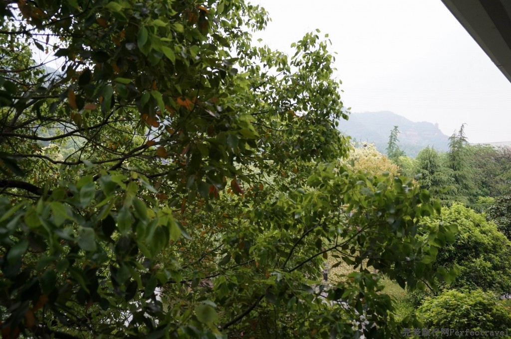 С DSC00378.JPG